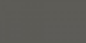 Dark Grey Neutral