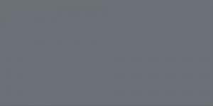 Cool Grey : CG7