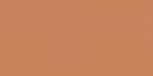 Rose Beige : BR97