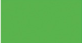 574 FLUORESCENT GREEN