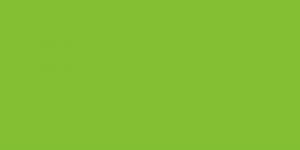Grasshopper
