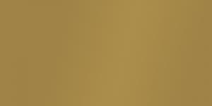 Metallic Gold 228