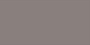 Warm Grey : WG6