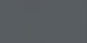 Cool Grey : CG8