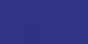 Night Seen Blue