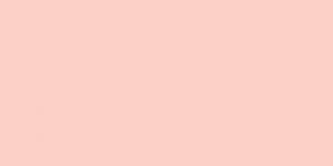 Fruit Pink R28