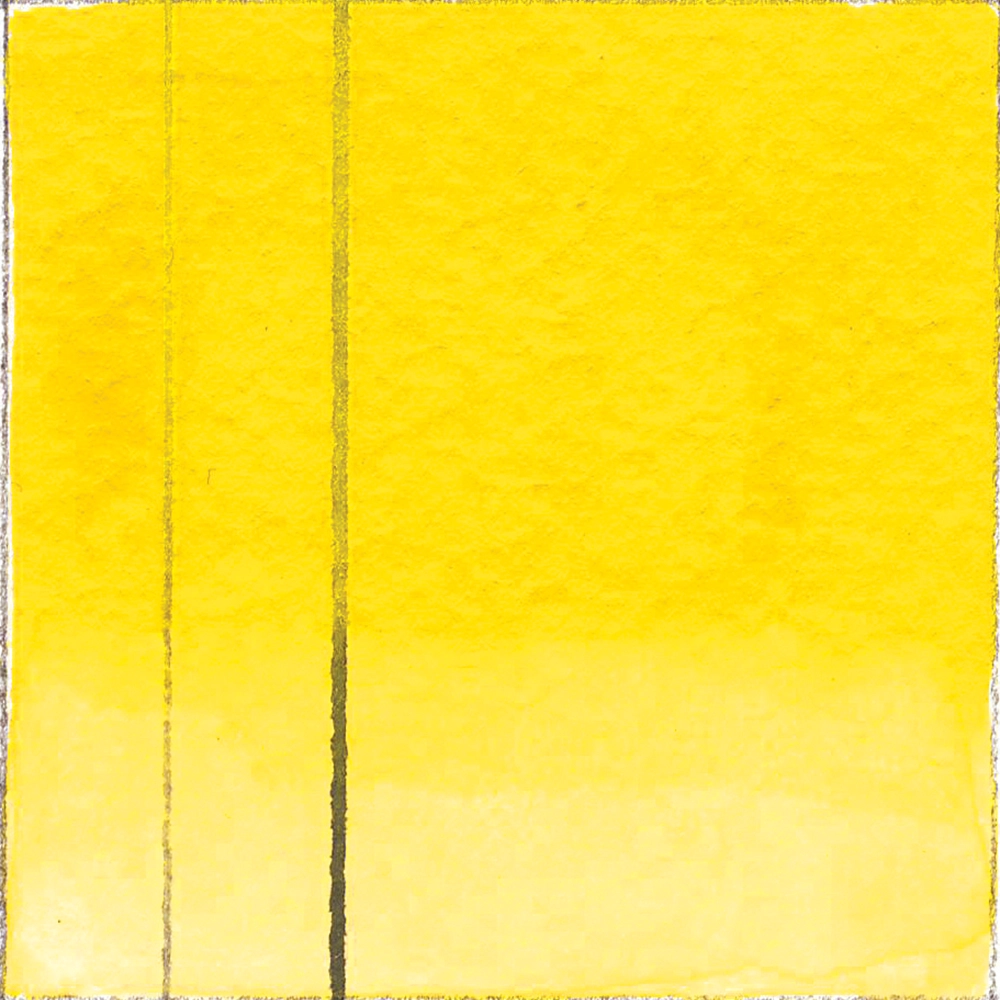 Cadmium Yellow Medium