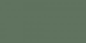 Grayish Green Deep : G241