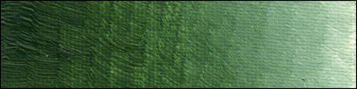 Olive Green Dark B307