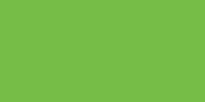 Wasabi