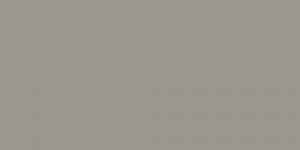 Middle Grey Neutral