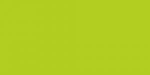Grasshopper