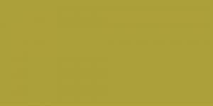 Olive Pale : Y224