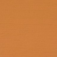Yellow Ochre Light 228