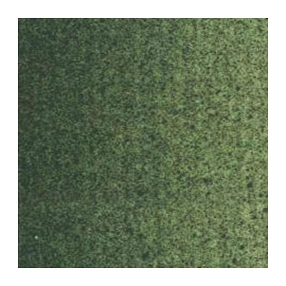 Green Earth 629