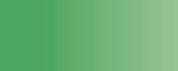 YG395 leaf green