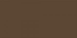 Bronze : BR99