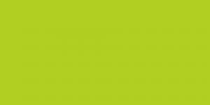 Grasshopper 221
