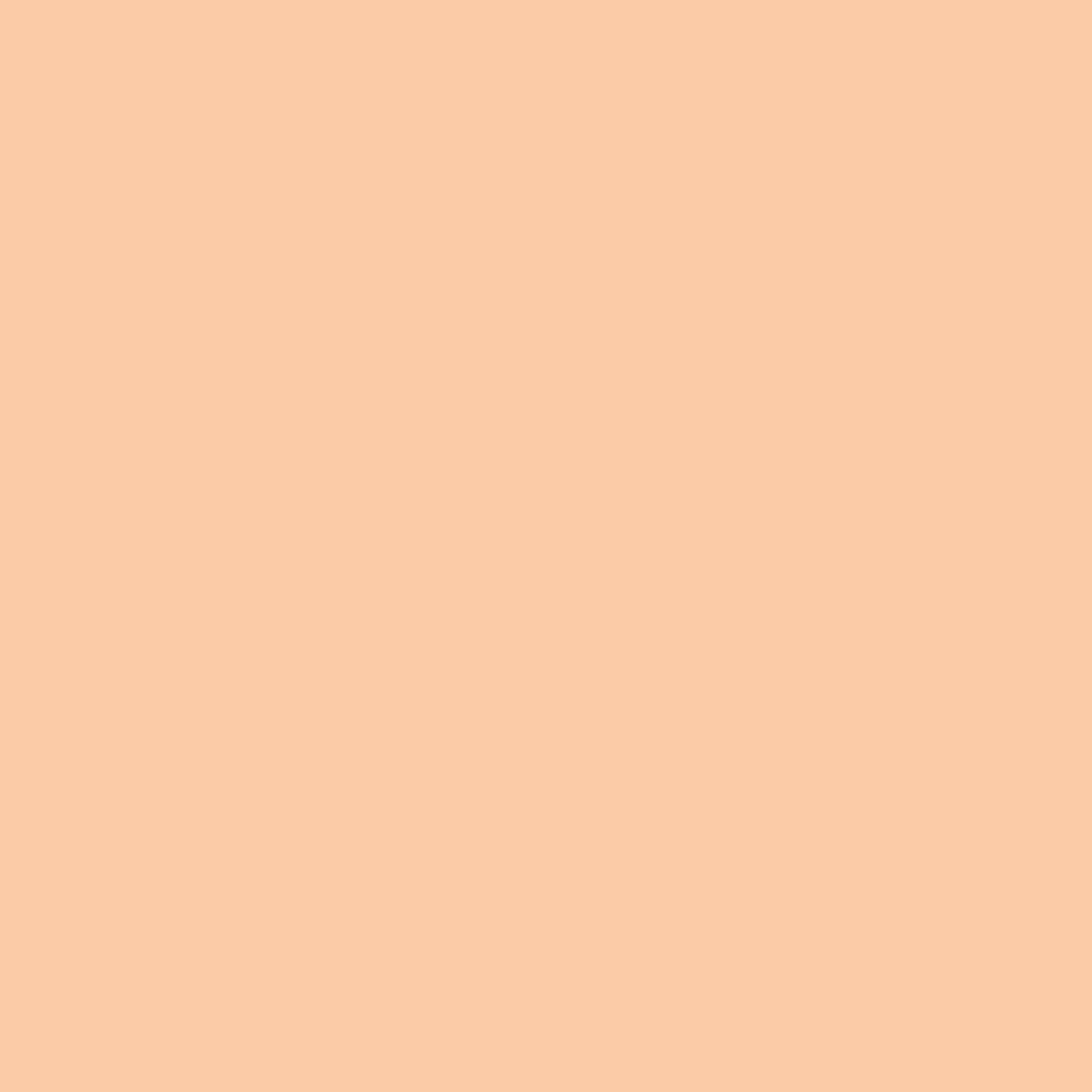 Pastel Orange 2506