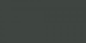 Green Grey : GG9