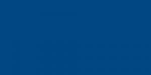 tulip blue