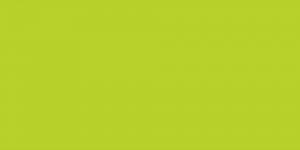 Kiwi Light