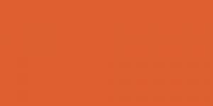 Salmon Orange