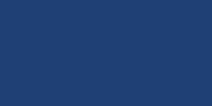 Prussian Blue PB69