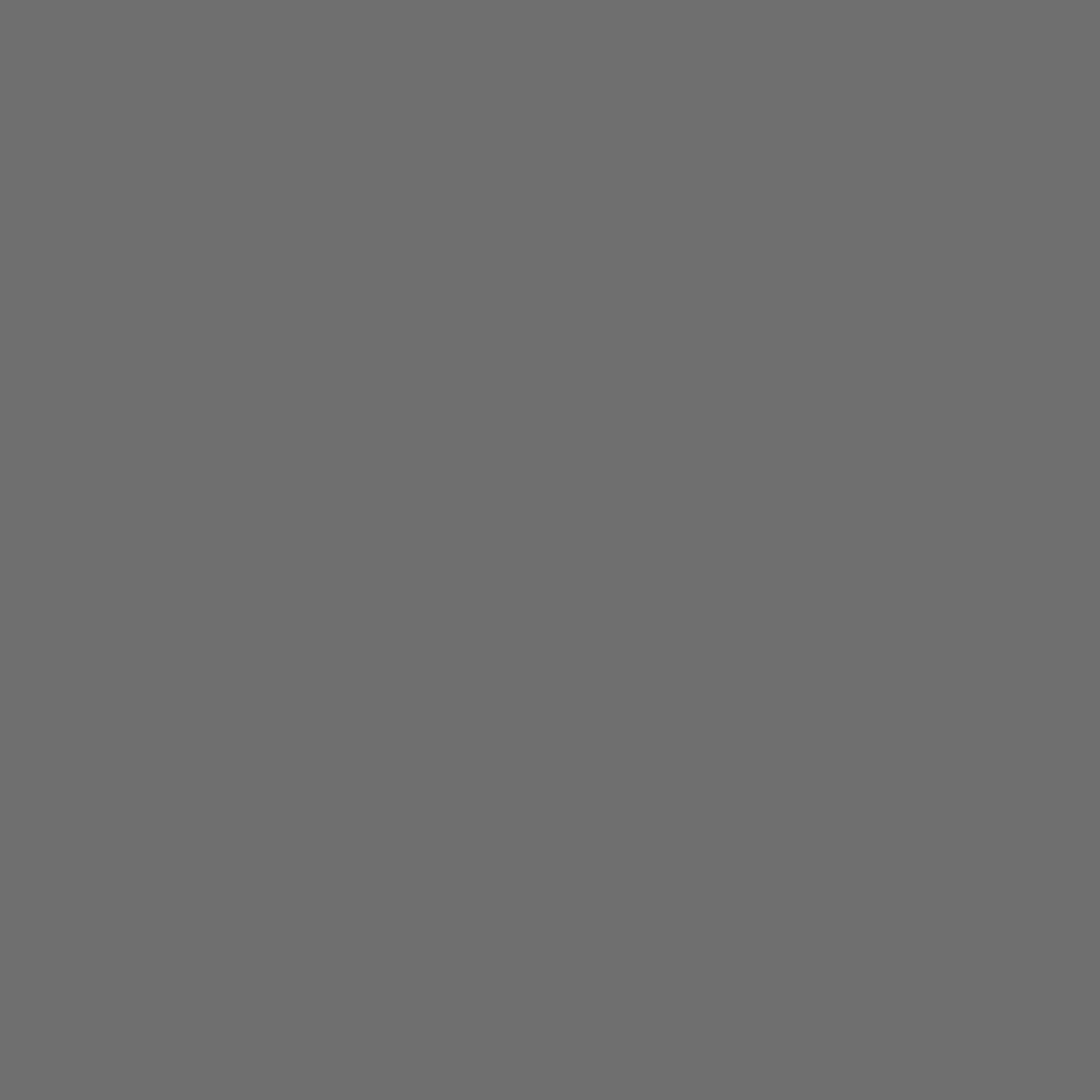 Cold Grey 717