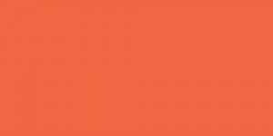 Loomit's Apricot