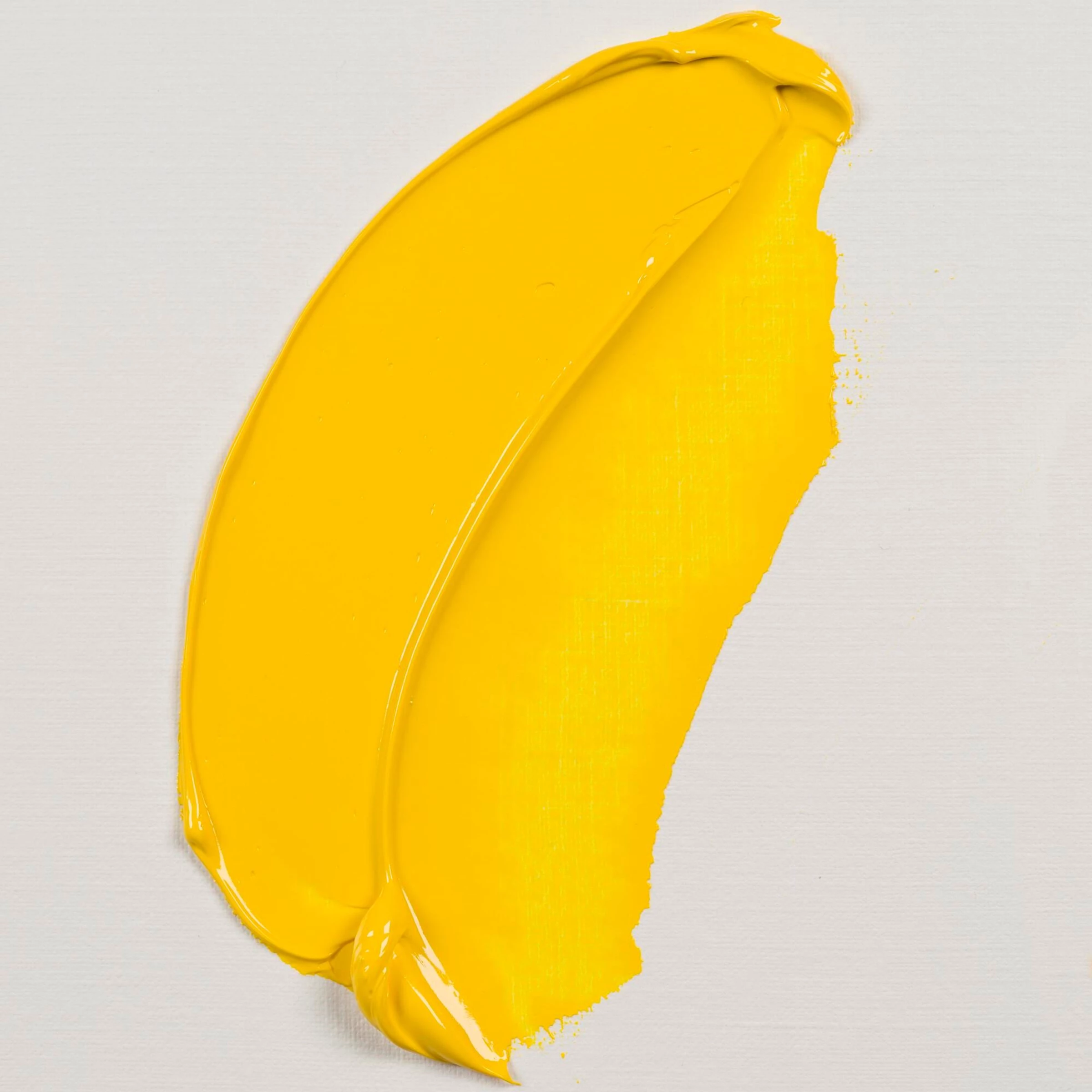 Permanent Yellow Light (283)