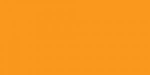 Marigold YR24