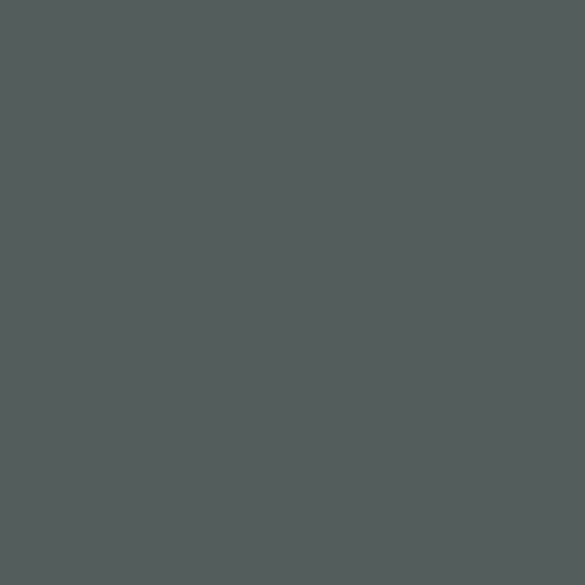 Warm grey 718