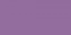 Violet : P281