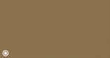 GOLD 565