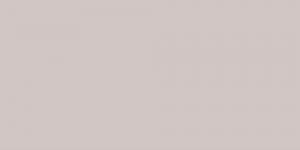 Warm Grey : WG2