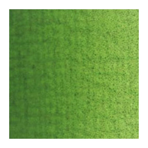 Sap green 623